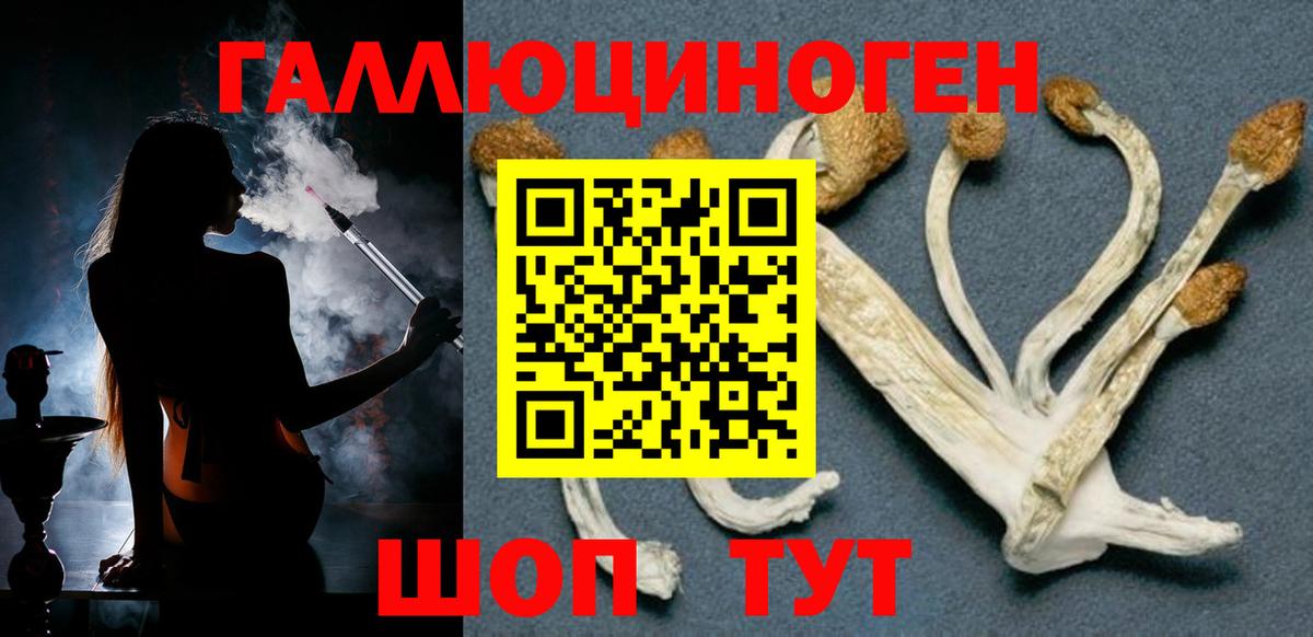 Сертолово  Галлюциногенные грибы Cubensis  Вход с VPN 
